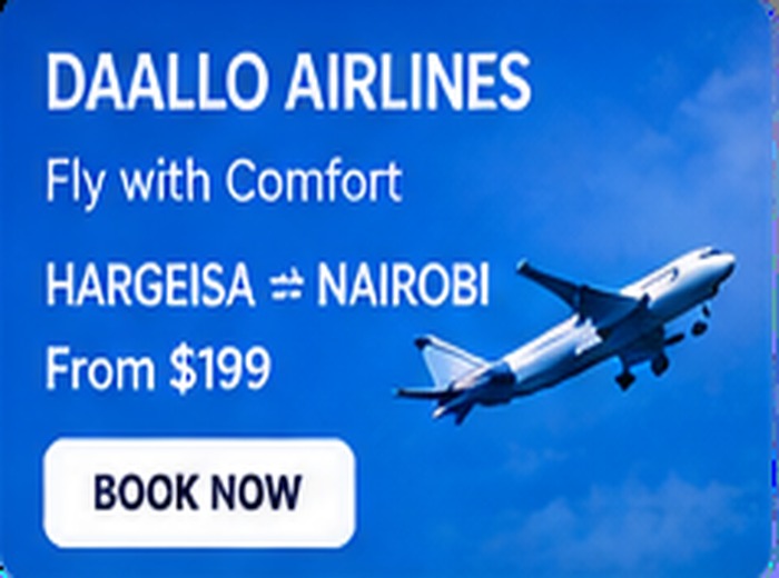 Flights & Travel